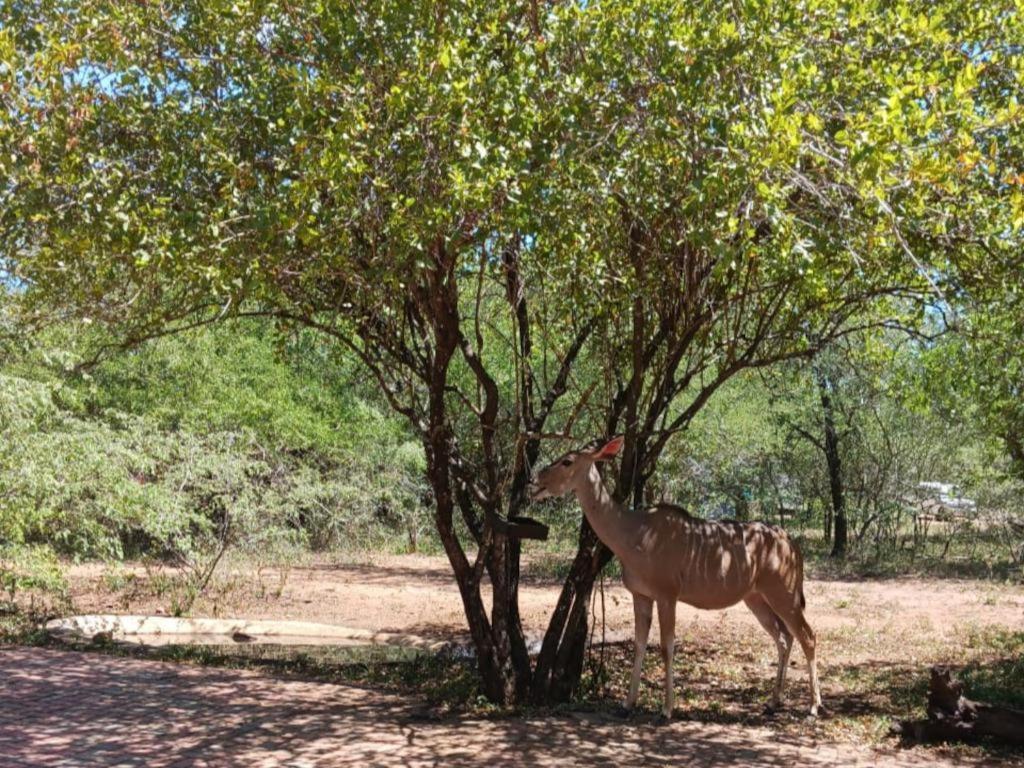 Marloth Cottage مارلوث بارك المظهر الخارجي الصورة
